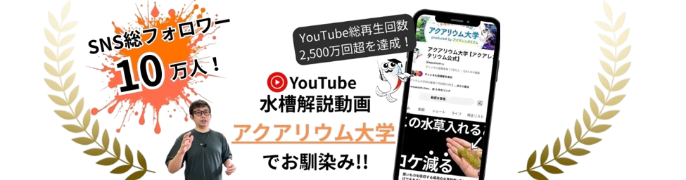 アクアレンタリウムはアクアリウム大学を運営しています。