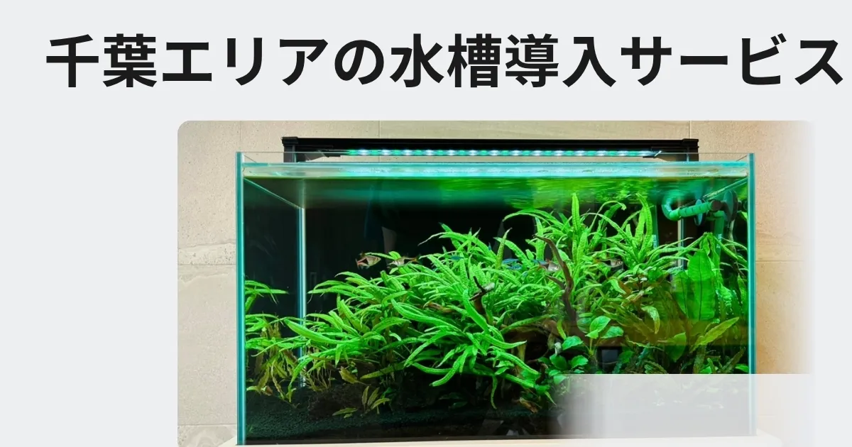 千葉エリアにおけるアクアレンタリウムの水槽レンタル、リース、水槽販売サービス