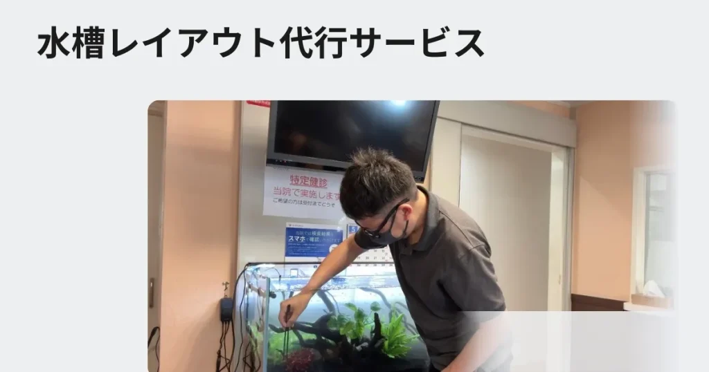 水槽レイアウト代行サービス