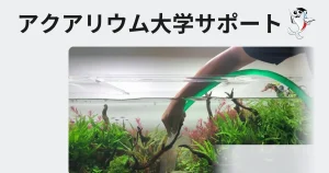 アクアリウム大学サポート