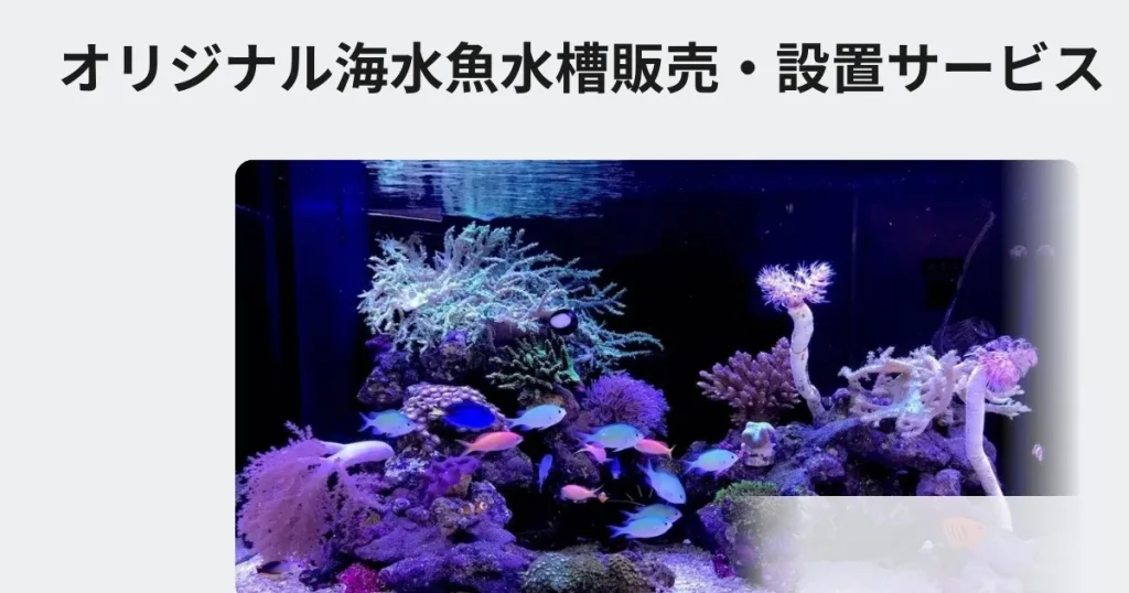 オリジナル海水魚水槽販売、設置サービス