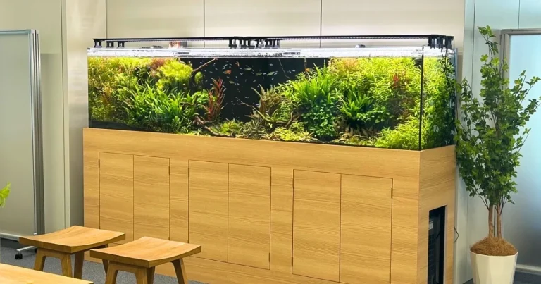不動産会社にある大型水草水槽