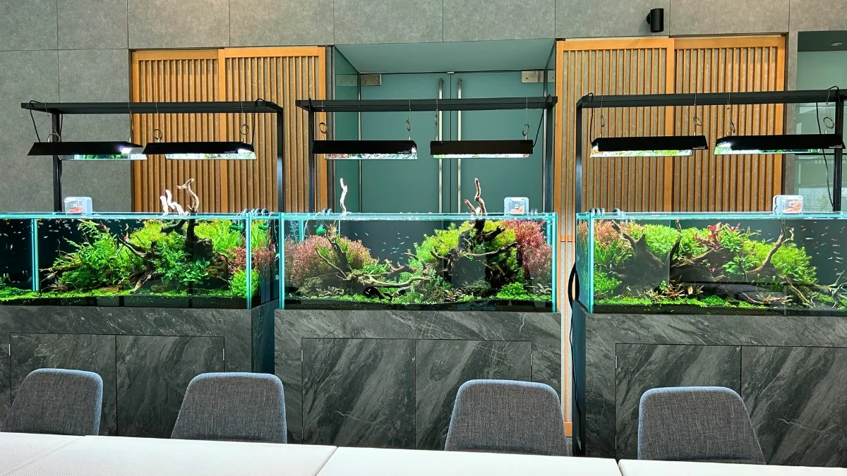 オーダーメイド水槽はアクアレンタリウムにお任せ
