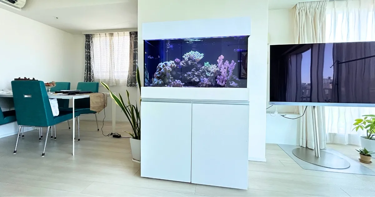 名古屋で人気のある白基調のアクアリウム