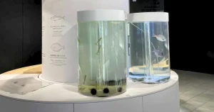 円柱型の海水水槽で「未来の食」を展示