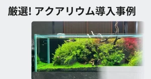 厳選アクアリウム事例