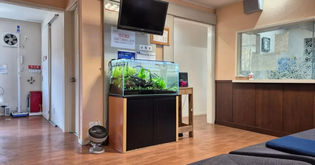 クリニックにある水草水槽
