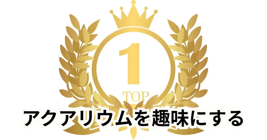 アクアリウムを趣味にするPR