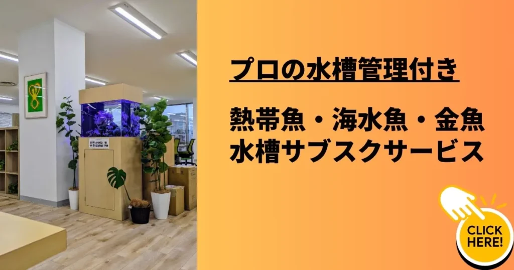 水槽のサブスクならアクアレンタリウム