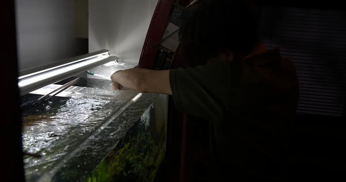 アクアレンタリウムの水槽換水シーン