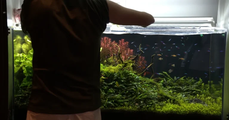 アクアレンタリウムのスタッフによる水槽メンテナンス