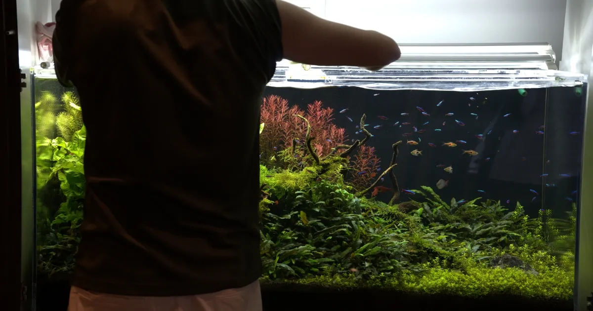 アクアレンタリウムの水槽メンテナンス