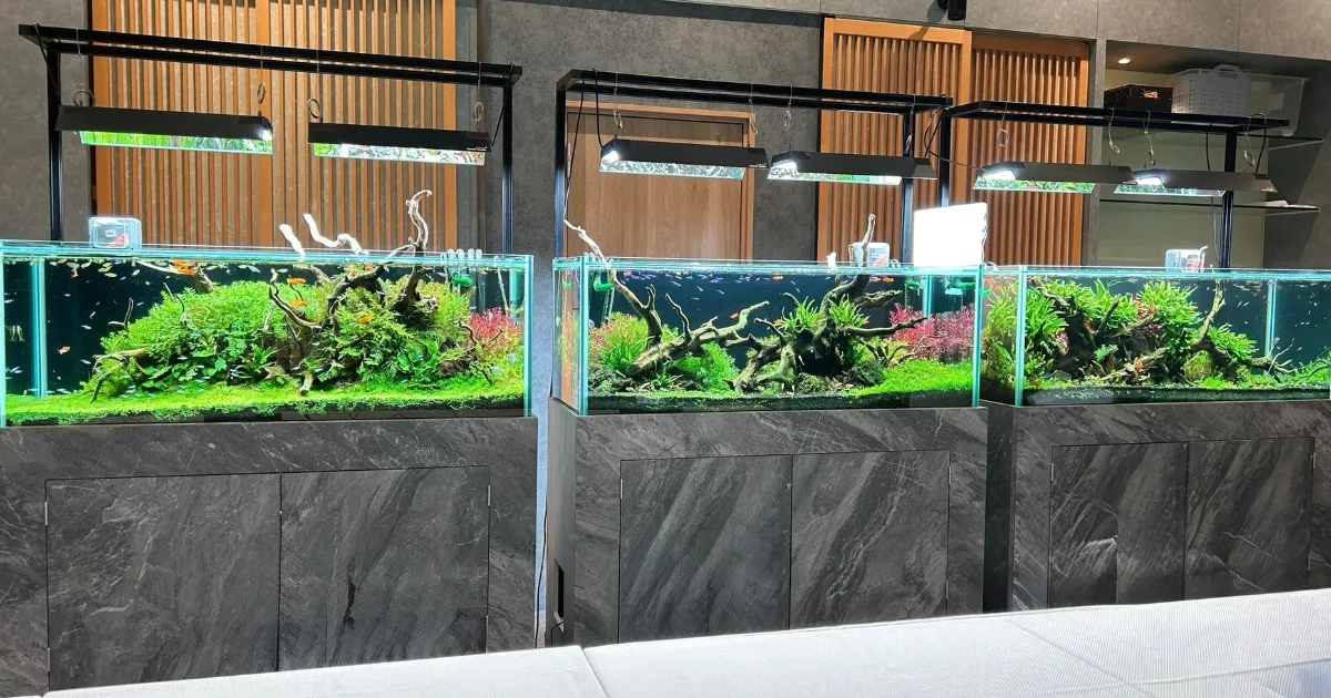 【M0920】オーダーメイドアクリル水槽 M0920】オーダーメイドアクリル水槽