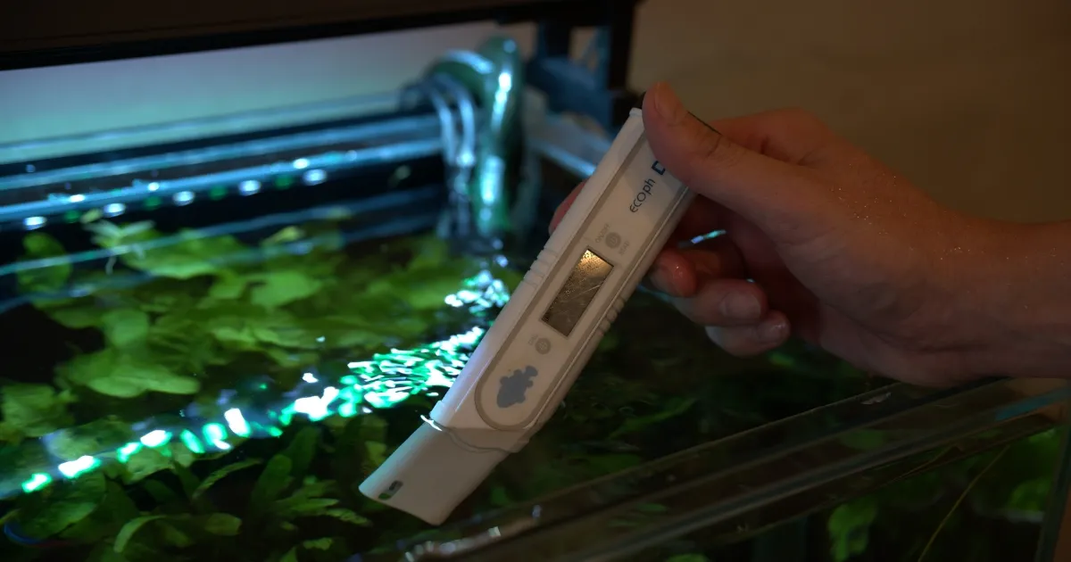 アクアレンタリウムの最終チェック