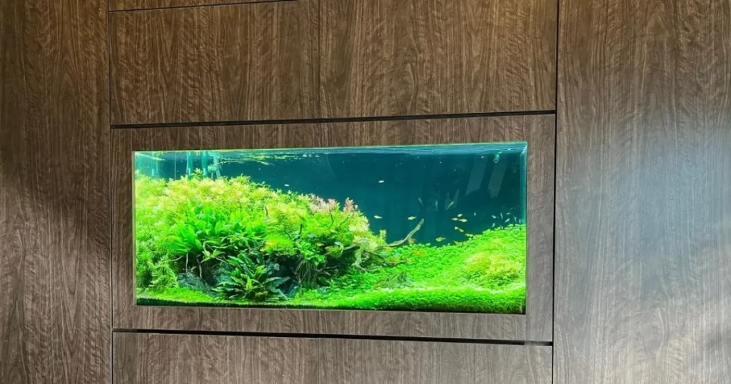 ぜひご相談ください