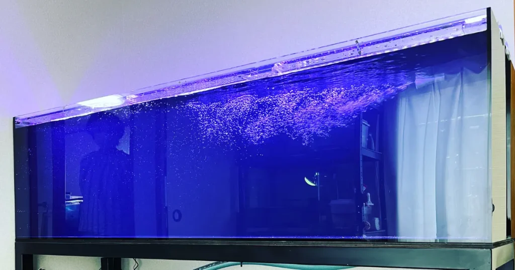 オーダーメイドがおすすめな人、既製品がおすすめな人について解説