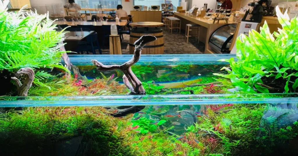 水槽選びのポイントが「コスト重視」か「こだわり実現」か解説