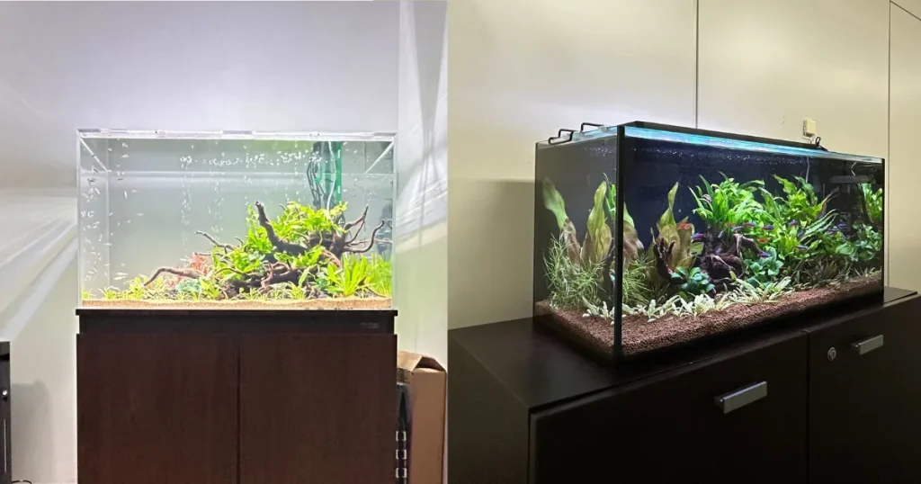 市販品とオーダーメイド水槽の比較解説