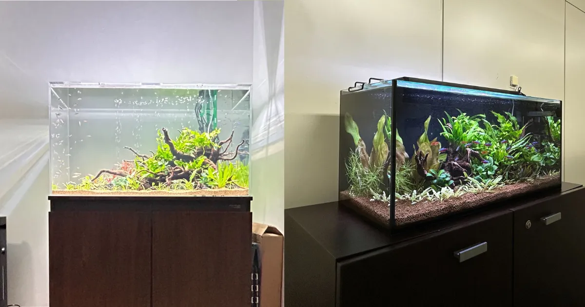 市販品とオーダーメイド水槽の比較解説