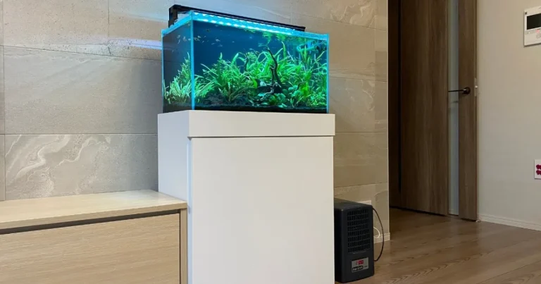 江東区｜マンションのリビングに60cm熱帯魚水槽
