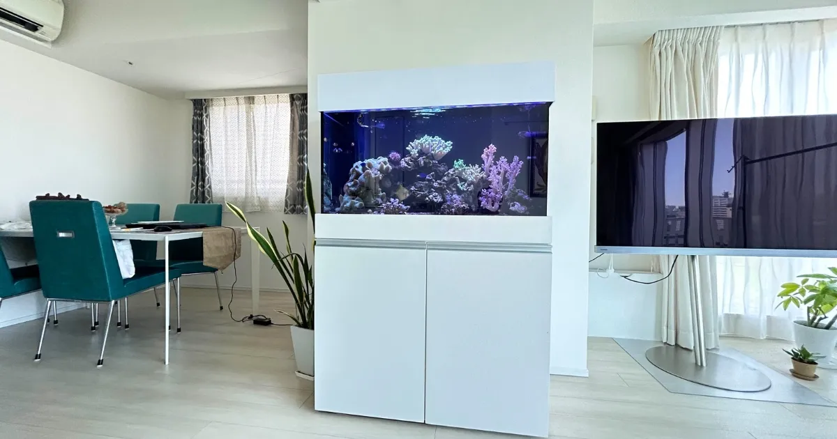 千代田区個人宅のサンゴ水槽