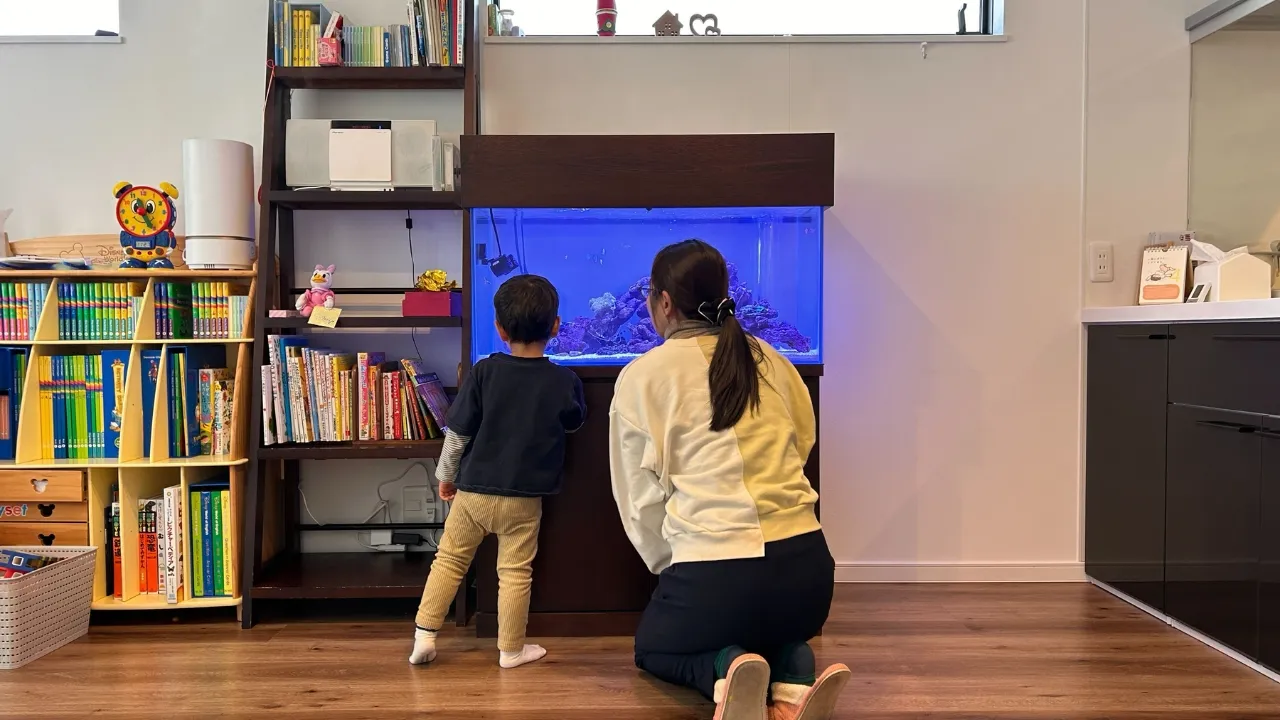 アクアリウム空間事例2