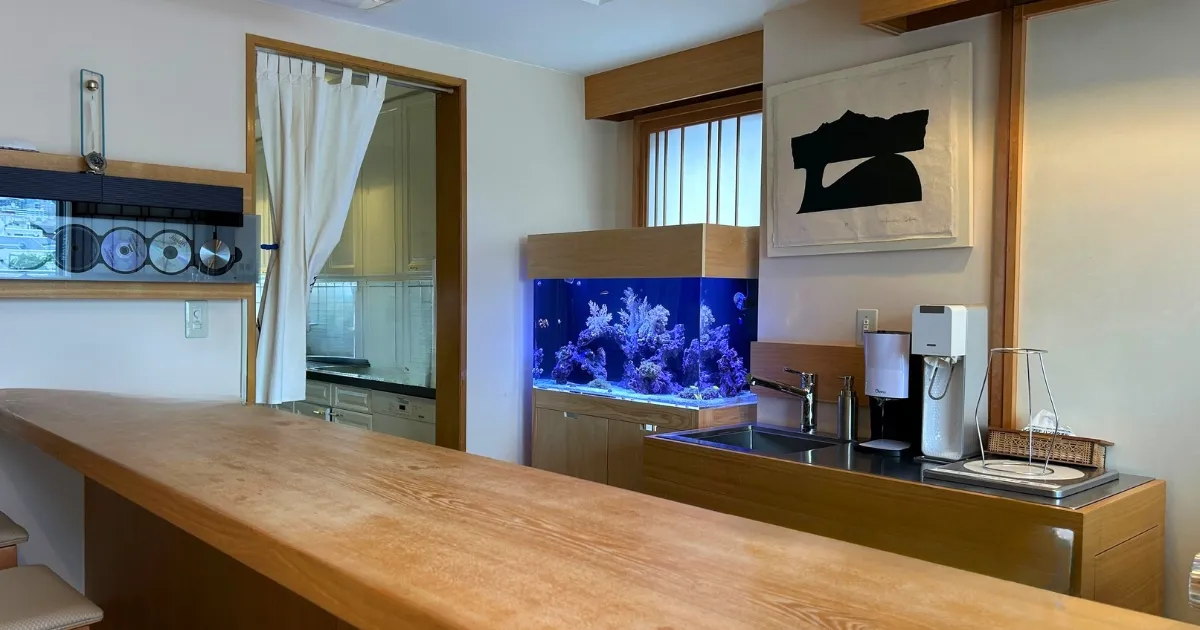 港区の高級レンタル水槽