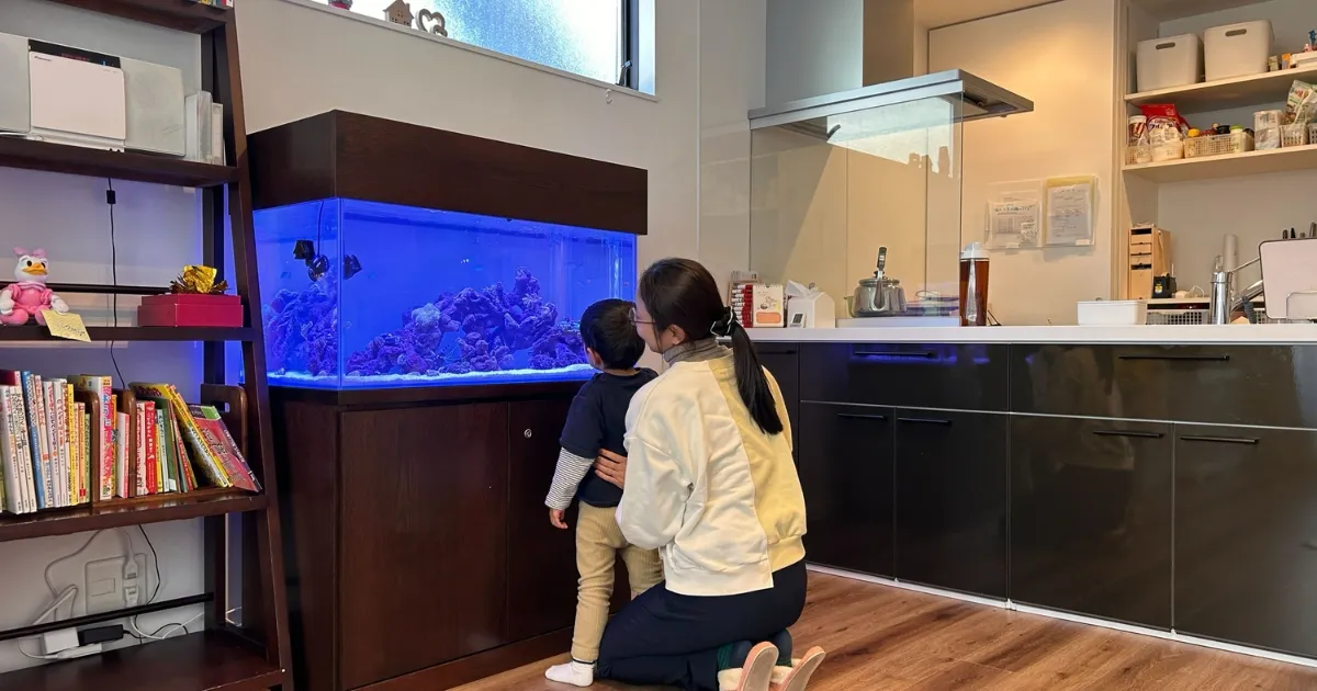 オーダーメイド水槽制作