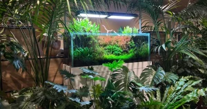 120センチ水草水槽