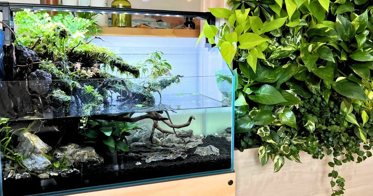 二子玉川オフィス水槽