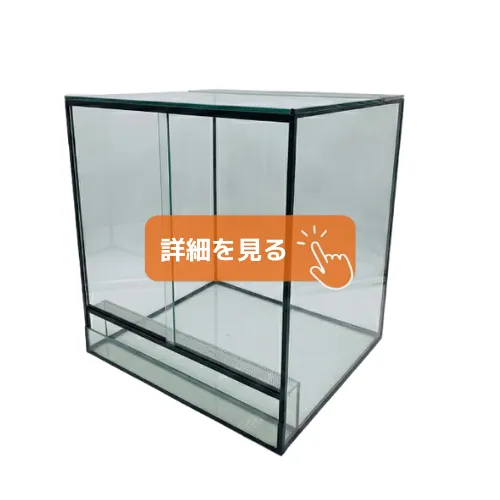 30センチ パルダリウム水槽 幅30×奥行30×高さ30cm 板厚5mm