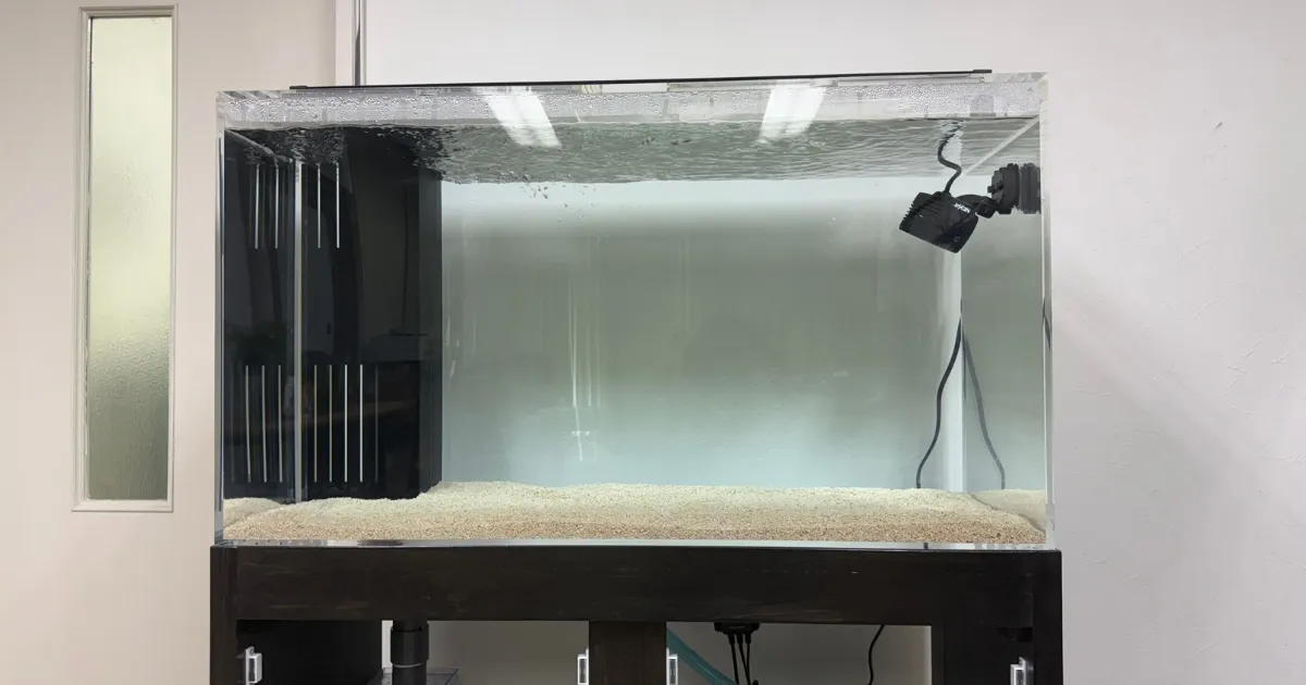 ろ過槽内のメンテナンス風景