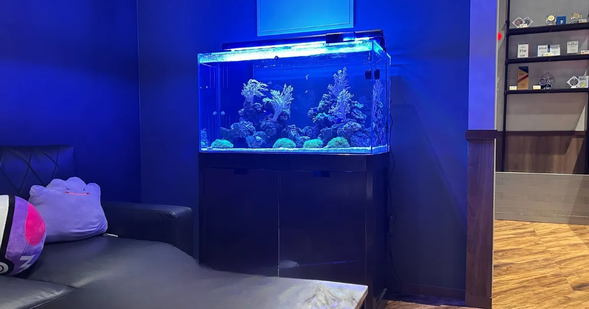 個人邸のインテリア水槽