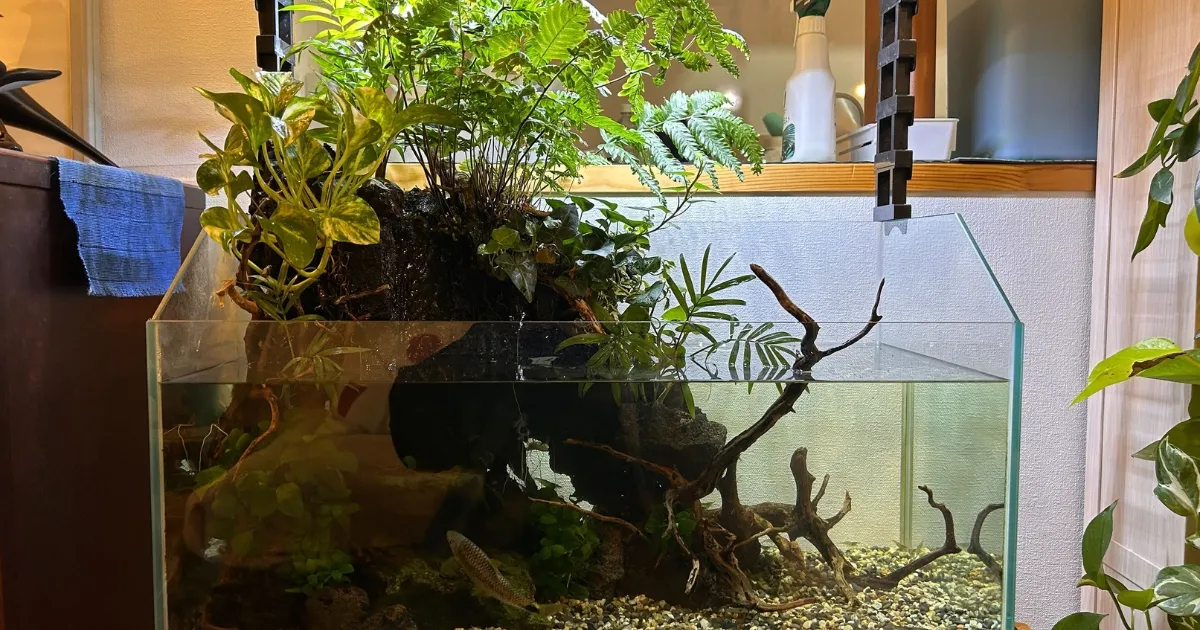 オフィスエントランスの水槽