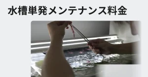 水槽単発メンテナンス料金