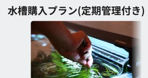 水槽購入プラスメンテ管理付き