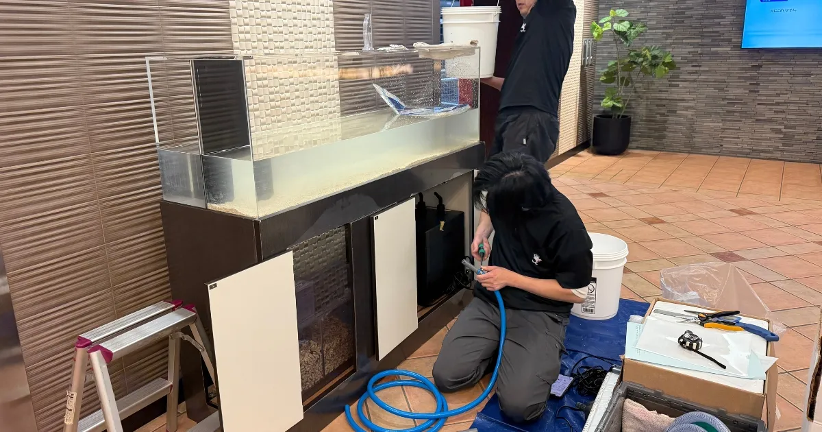 アクアリウム空間事例1