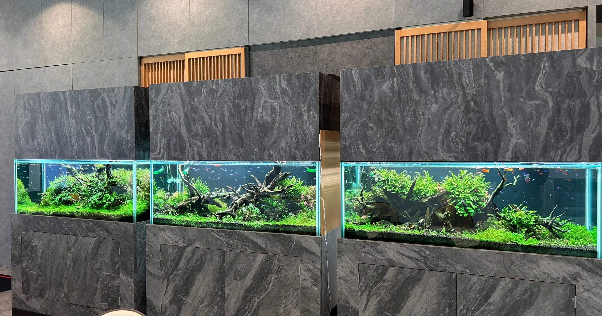 ダイニング水槽