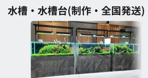 特注オーダー水槽制作、全国発送