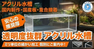 オーダーアクリル水槽