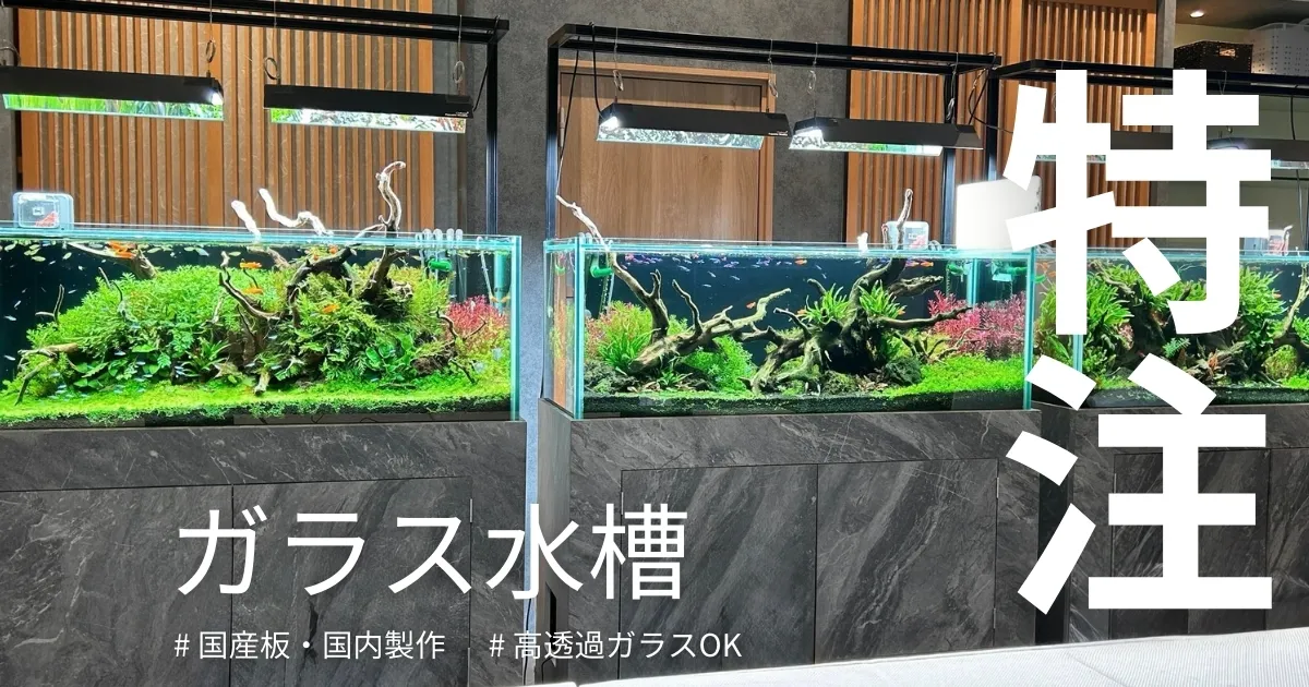 ガラス水槽の専門店｜通販・サイズオーダー・設置まで【全国対応】