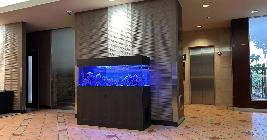 大阪のマンションのエントランスに設置した海水魚レンタル水槽