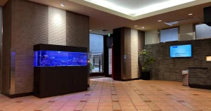 マンションの海水魚レンタル水槽