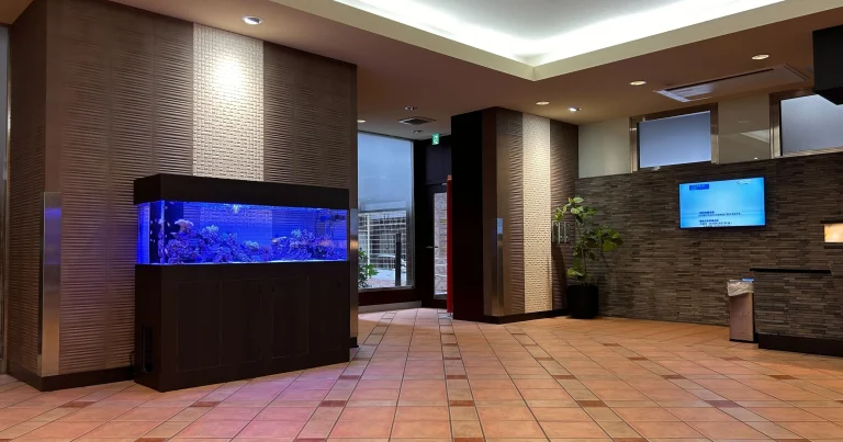 マンションの海水魚レンタル水槽
