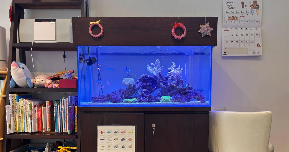 初めての海水魚飼育・90cmオーバーフロー水槽設置事例