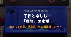 出張水槽設置のレポートをお届け