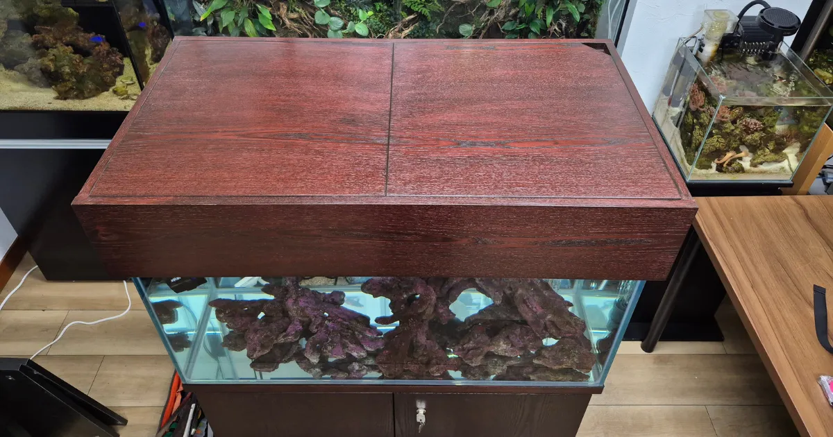 足立区の社内にて事前に水槽を組み上げ、稼働チェックを行っている様子