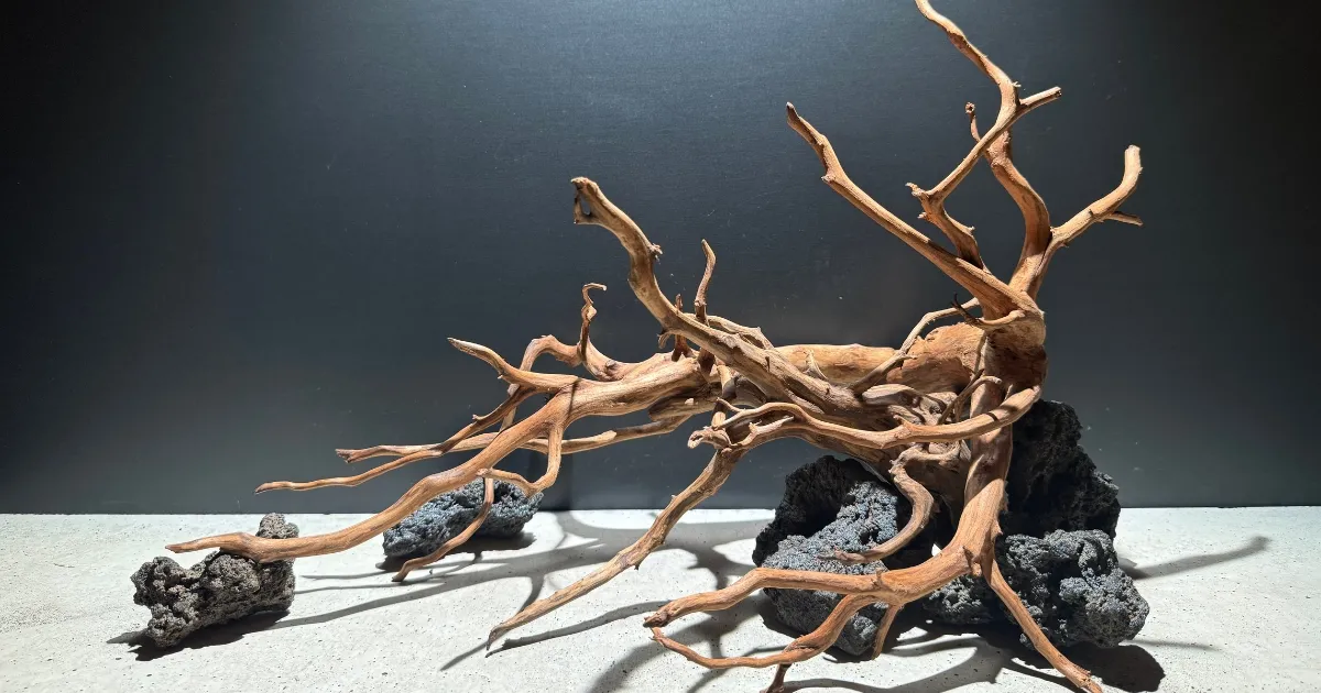 レイアウトの骨格制作事例 4