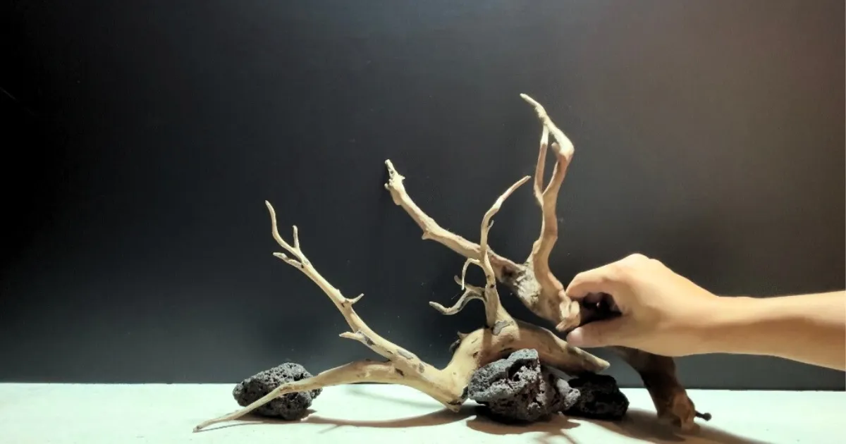 アクアレンタリウムのレイアウトの制作シーン