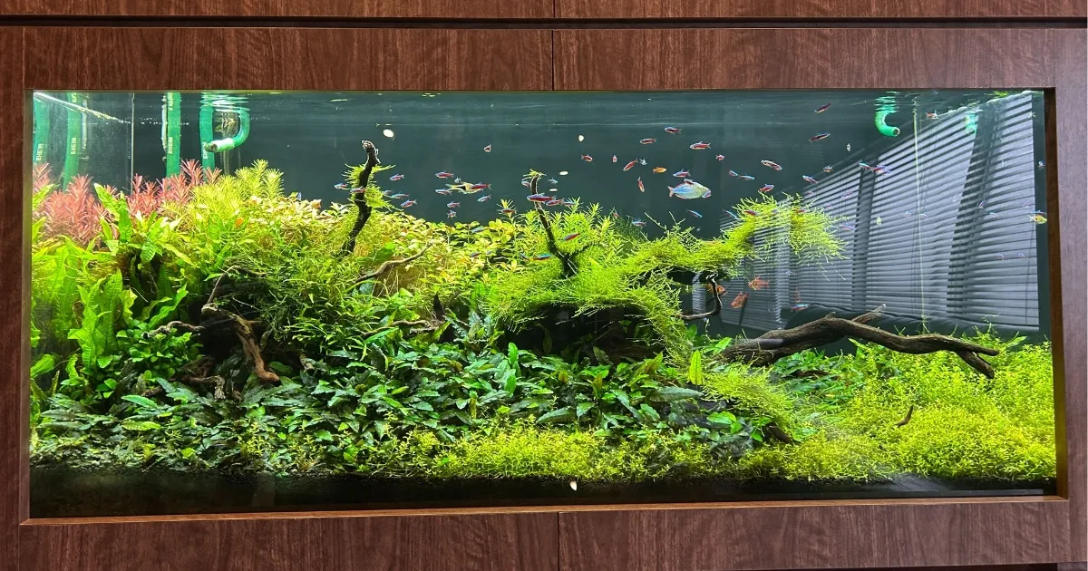 配管加工・底面ソケット